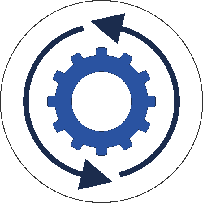 General Overview